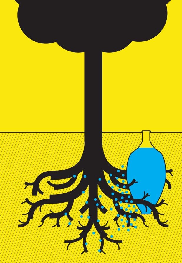 mosbatboy's tweet image. آبیاری کوزه ای یکی از ابتکارات ایرانیان برای سیراب کردن گیاهان در مناطق خشک و نیمه خشک بوده است. در این روش کوزه ای در کنار گیاه در خاک قرار داده می شود و در آن آب می ریزند تا گیاه کم کم رطوبت را از کوزه دریافت کند. این روش با بروزرسانی در شکل مختلف همچنان در جهان استفاده میشود/۱