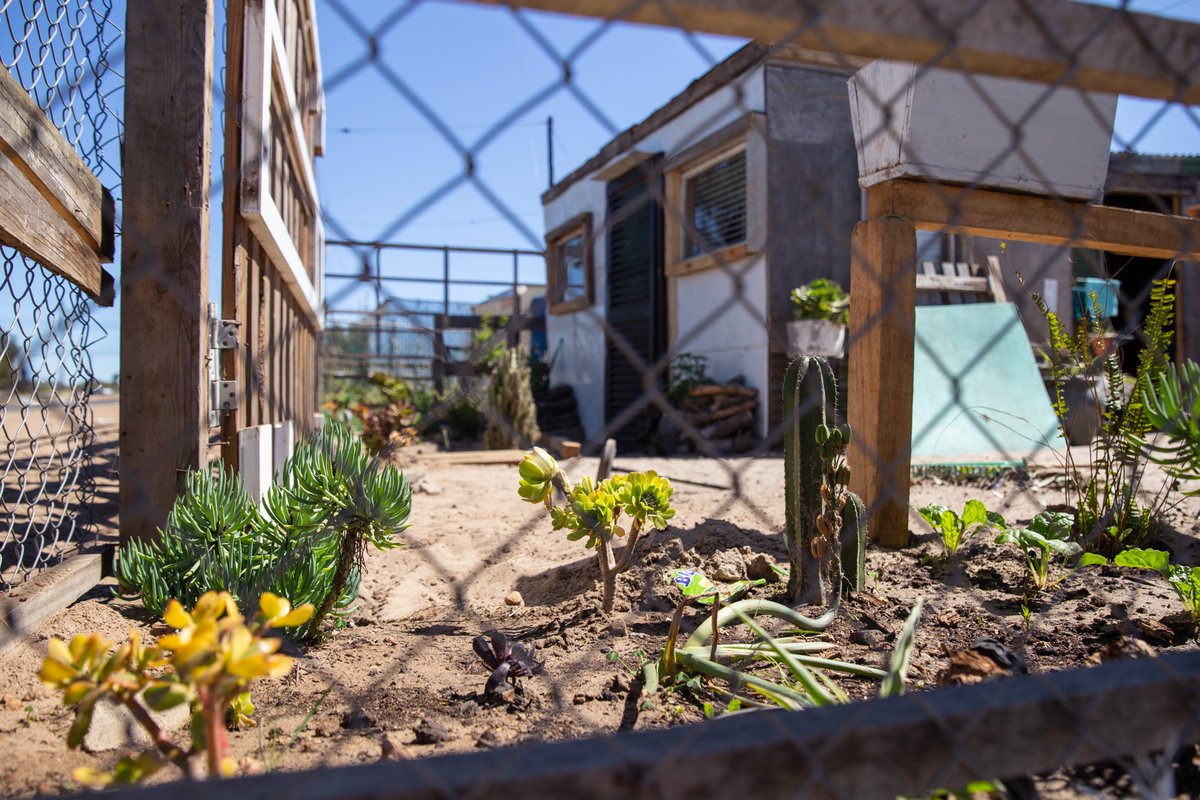 WCEDP's tweet photo. The EDP and @cityofct will host a public discussion on 12 Nov about the link between climate change &amp; mental health in the city’s resilience strategy &amp; climate action plan (launching tomorrow). Read &amp; watch this space!
#Futurecastingct #climatechange 
https://t.co/vU8j3C0bJW https://t.co/Ooadim4gTB
