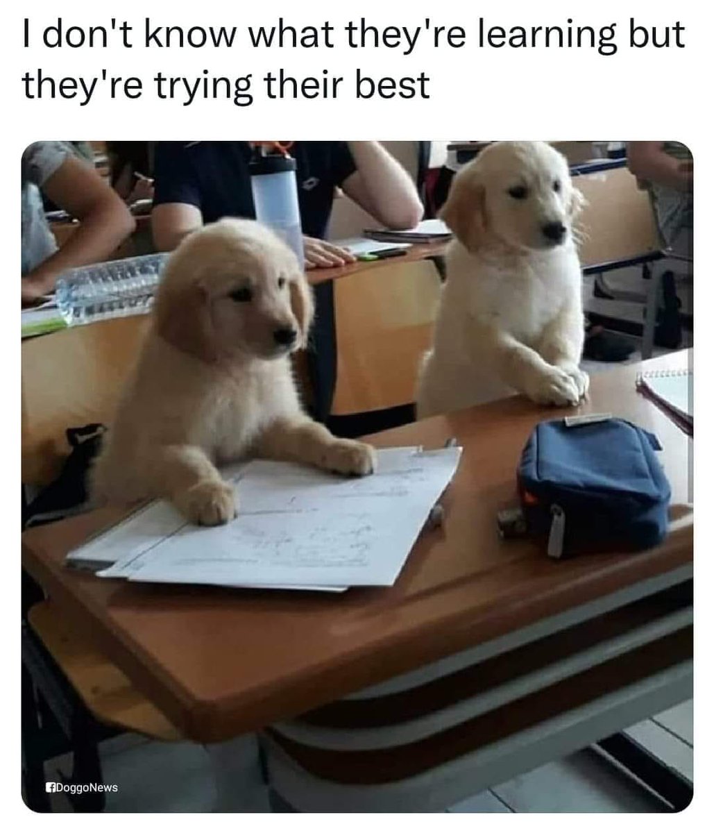 WholesomeMeme's tweet photo. https://t.co/fHIZf2Q9O3