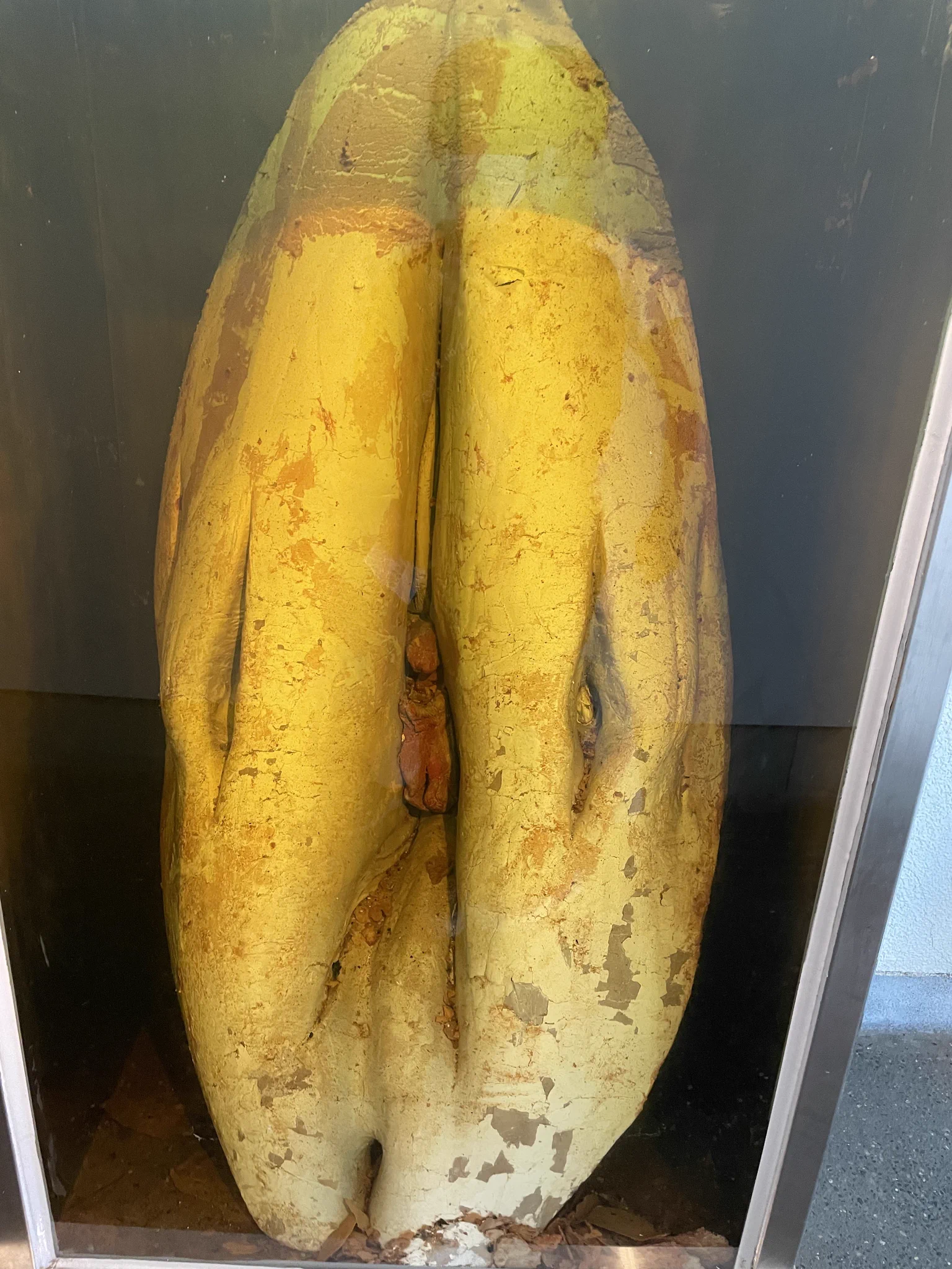 @jamafra1243 @nokogara これなーんだ？ 