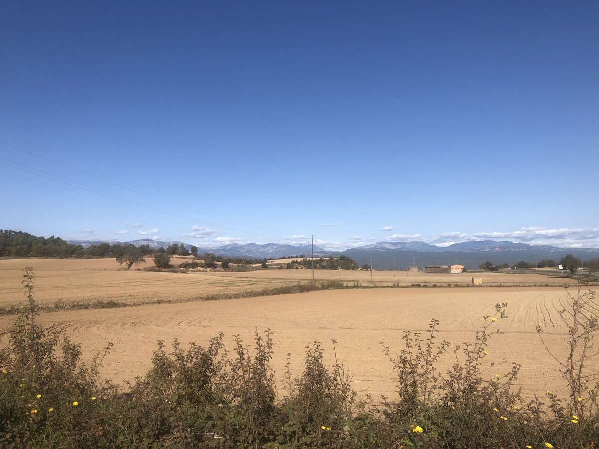 RicardMoren's tweet photo. @aralleida @TurismeSolsones #hamlets research @UABBarcelona:
LLOBERA municipality #SOLSONÈS #Lleida:
203 inhabitants (INE,2016) including 0 born abroad: why 0?
#micropobles #RuralEUROPE #RURALdepopulation #SmallVillages #Llobera #ruralCatalonia
#ruralSpain #micropueblos
+Info: https://t.co/fod9N05jED
📷2020 https://t.co/bTWL8NDC5D