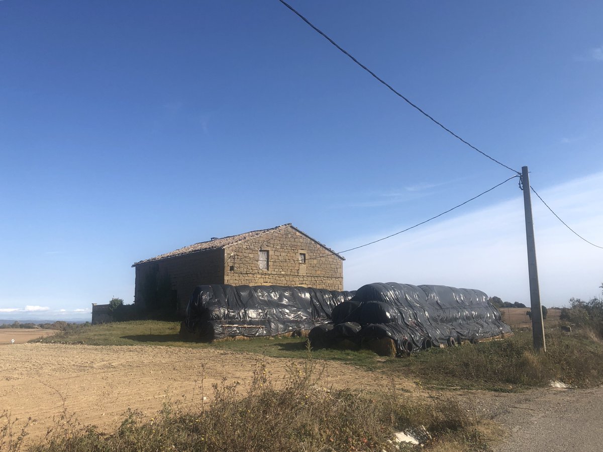 RicardMoren's tweet photo. @aralleida @TurismeSolsones #hamlets research @UABBarcelona:
LLOBERA municipality #SOLSONÈS #Lleida:
203 inhabitants (INE,2016) including 0 born abroad: why 0?
#micropobles #RuralEUROPE #RURALdepopulation #SmallVillages #Llobera #ruralCatalonia
#ruralSpain #micropueblos
+Info: https://t.co/fod9N05jED
📷2020 https://t.co/bTWL8NDC5D