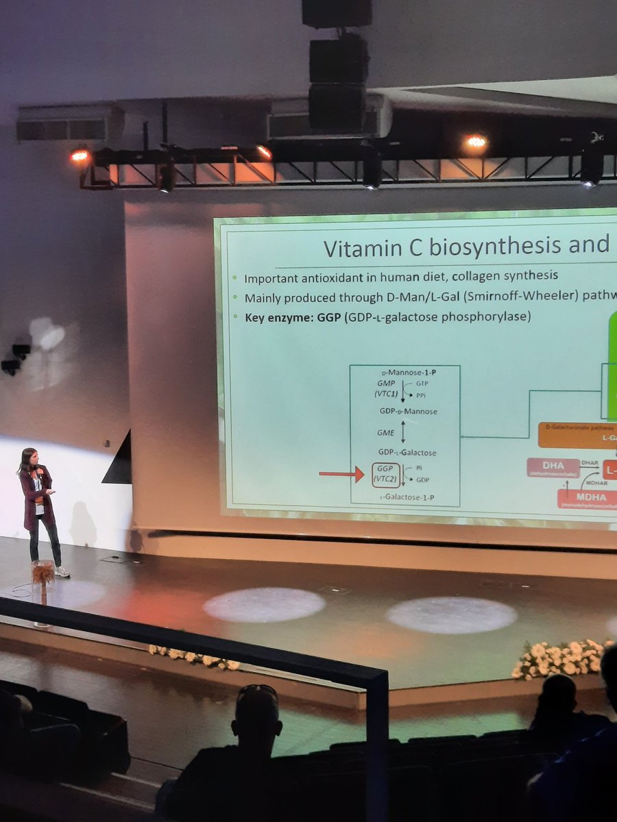ירין עקנין מציגה את העבודה המרשימה שלה על טרנספומרציות בחסה לשיפור ערכים תזונתיים!