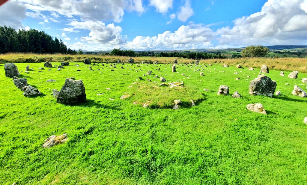 Neolithic Ireland 💚 tweet media