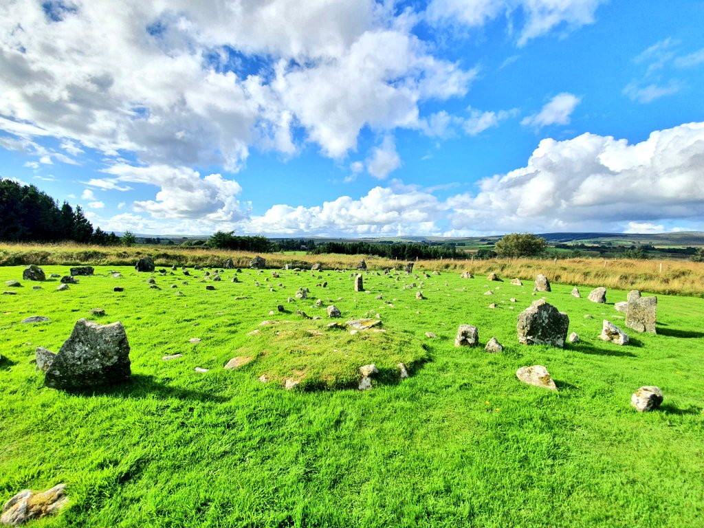 Neolithic Ireland 💚 tweet media