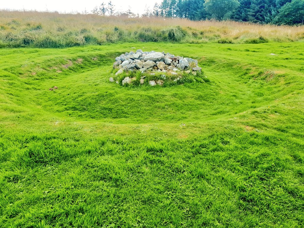 Neolithic Ireland 💚 tweet media