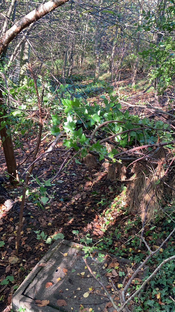 S5 Leadership #shelters #leadership