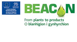 _WHEB_'s tweet photo. Hearing from Rob Elias @BCBangor @BangorUni about the added value of the Vanguard Initiative including links to the #ProEnrich @BBI2020 @beaconwales and @BioWILL_NWE projects during the @VI_Brussels regional conference https://t.co/zeiNmVUTul
