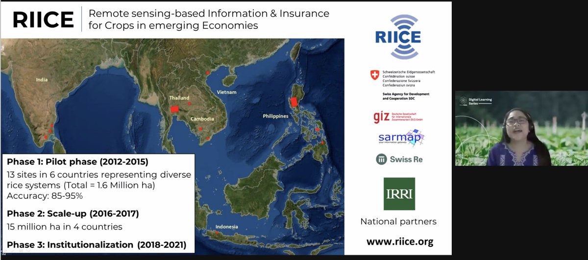 carolynflorey's tweet photo. Using satellite information for food security and providing forecasts of potential shortfalls in food production. earlier and more timely information is available using the platforms @irri developed - #RIICE and #PRISM 

#digitalagriculture #agritech #t4d @Grow_Asia https://t.co/Mq0UxWluZe