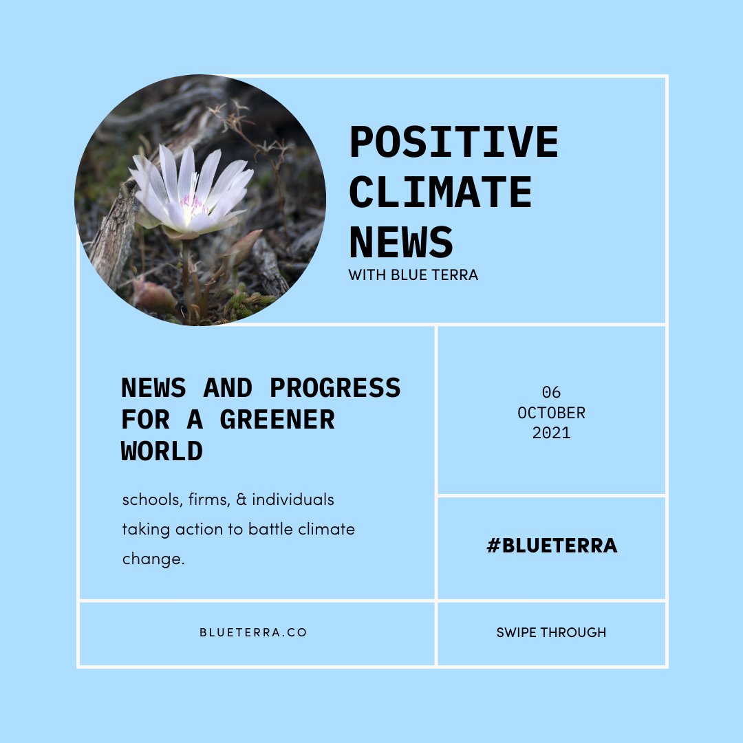Blue Terra tweet media