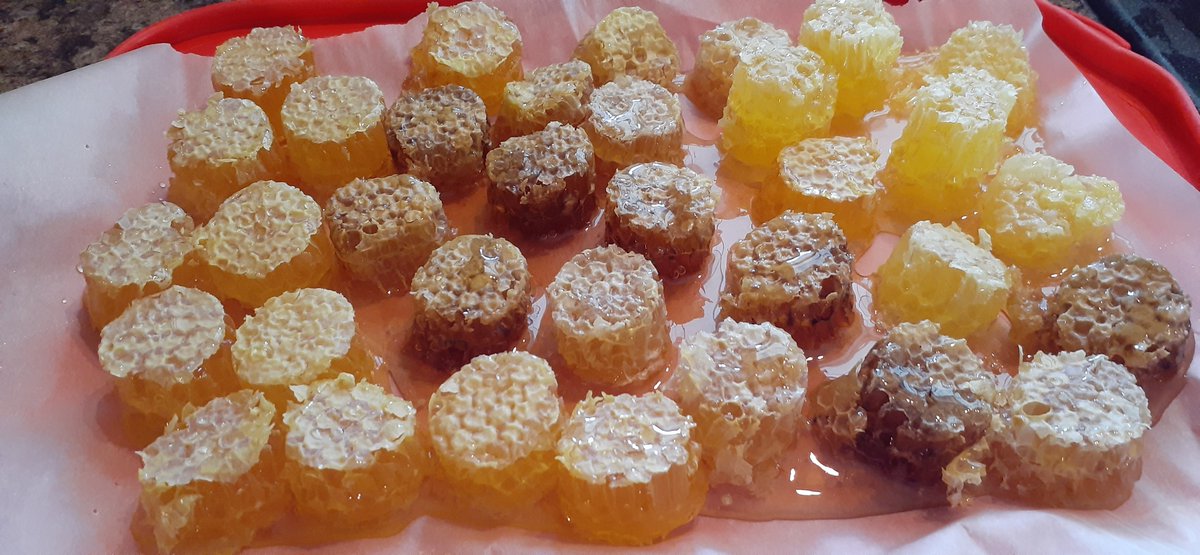 BacktoRealityNS's tweet photo. Pure honeycomb. :)

#novascotia #pictou #honey #bees  #tasty https://t.co/P05MNH2tJS