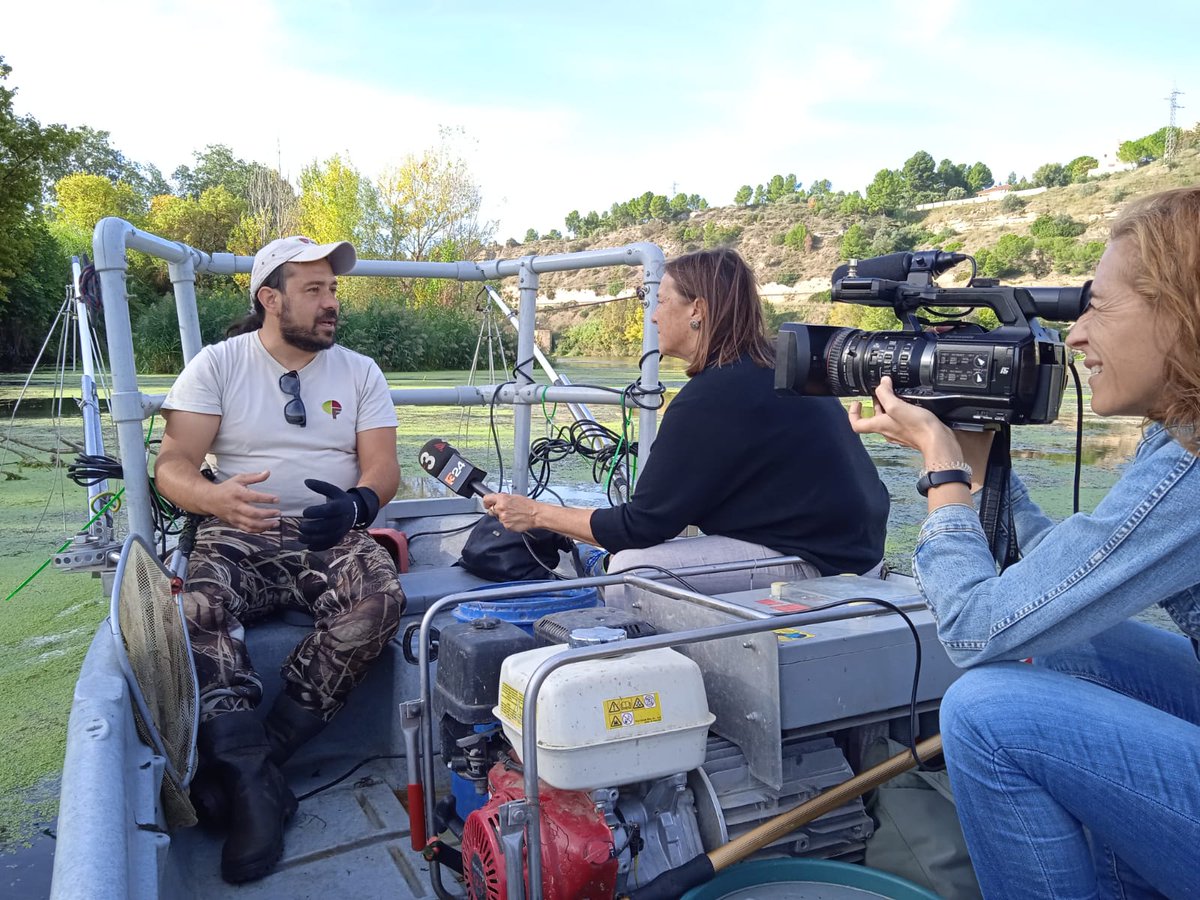 gnfreixe's tweet photo. Avui expliquem els resultats de la Cursa de la Bagra a @tv3cat! 🌿🐟 Ho fem durant un mostreig d'ictiofauna a #Flix que també forma part del projecte @BIOTRAM_ 💧 https://t.co/QNhBuKPxdk