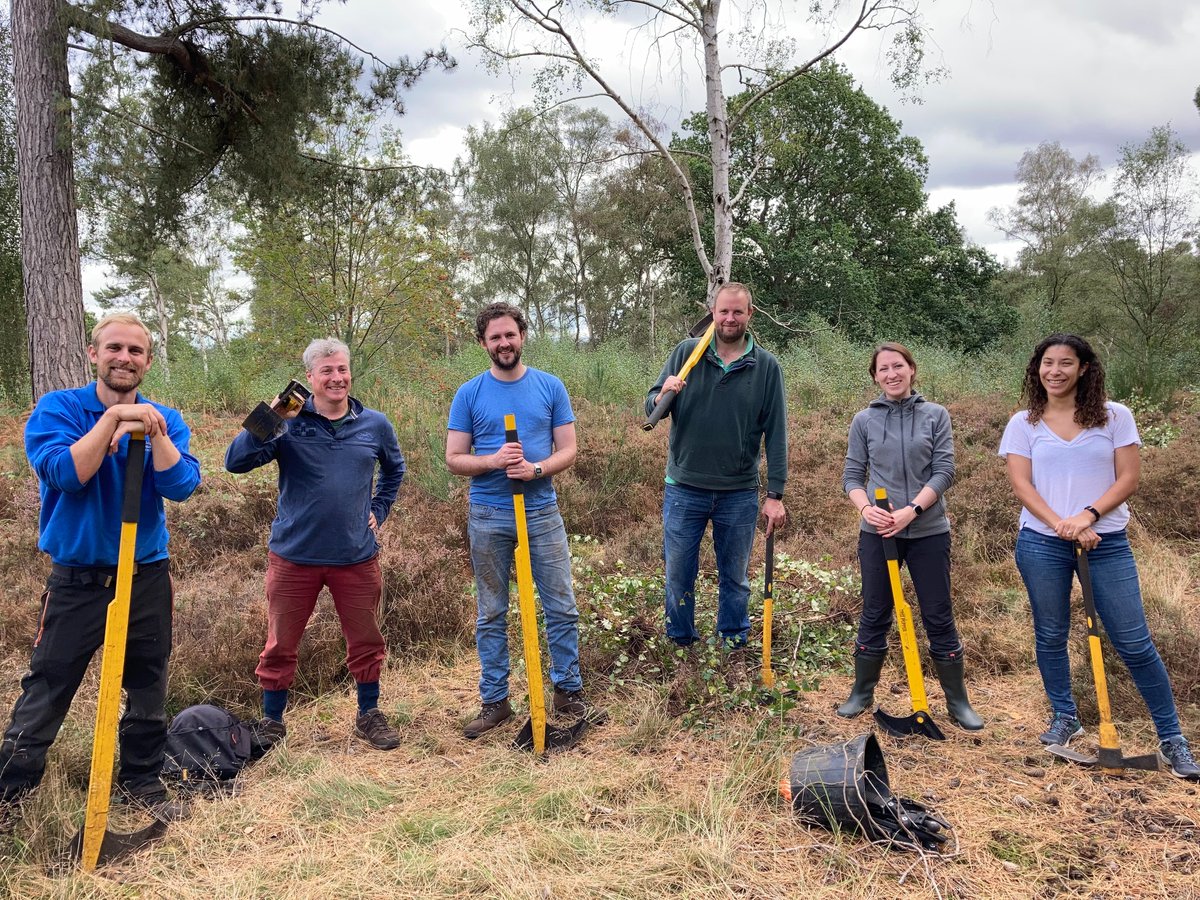 One of our teams got their green fingers out on Friday to help cultivate heathland by volunteering at the @Natures_Voice Lodge in Sandy. RSPB is one of Barratt Developments’ key partnerships and we always try to help give nature a home when building new communities🌿🌿