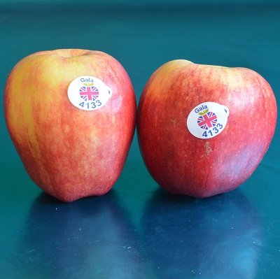 InMyFruitBowl's tweet photo. Beautiful fruit on sale in the UK: the best fruit in October from the Good Fruit Guide.

https://t.co/hWEBUTrPLK

#fruit #freshfruit #freshproduce #tastyfruit https://t.co/GSrAWUlYgb
