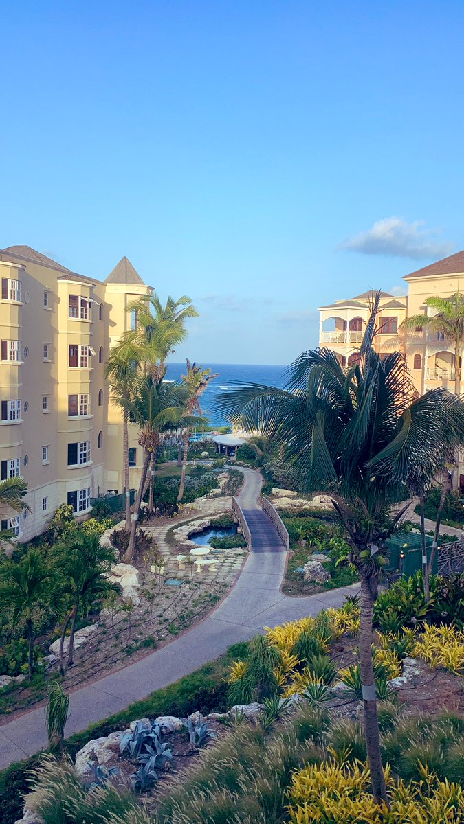 Caitlin_HB's tweet photo. Rise and shine ☀️ https://t.co/EnX6ONFBpJ