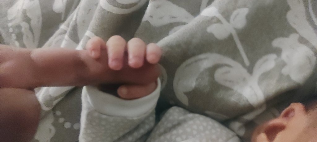 FaliGuaro's tweet photo. ❤️❤️❤️ https://t.co/iaDygvm6gB