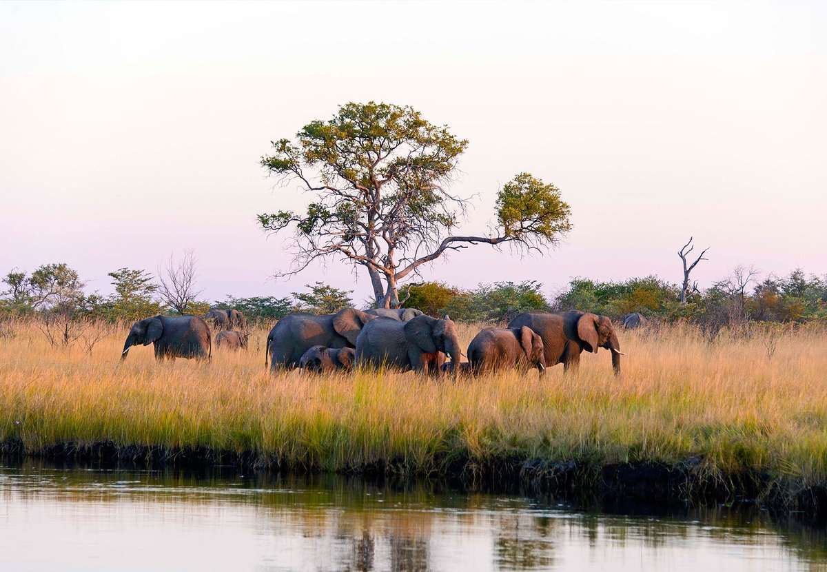 Namibia Tourism Board tweet media