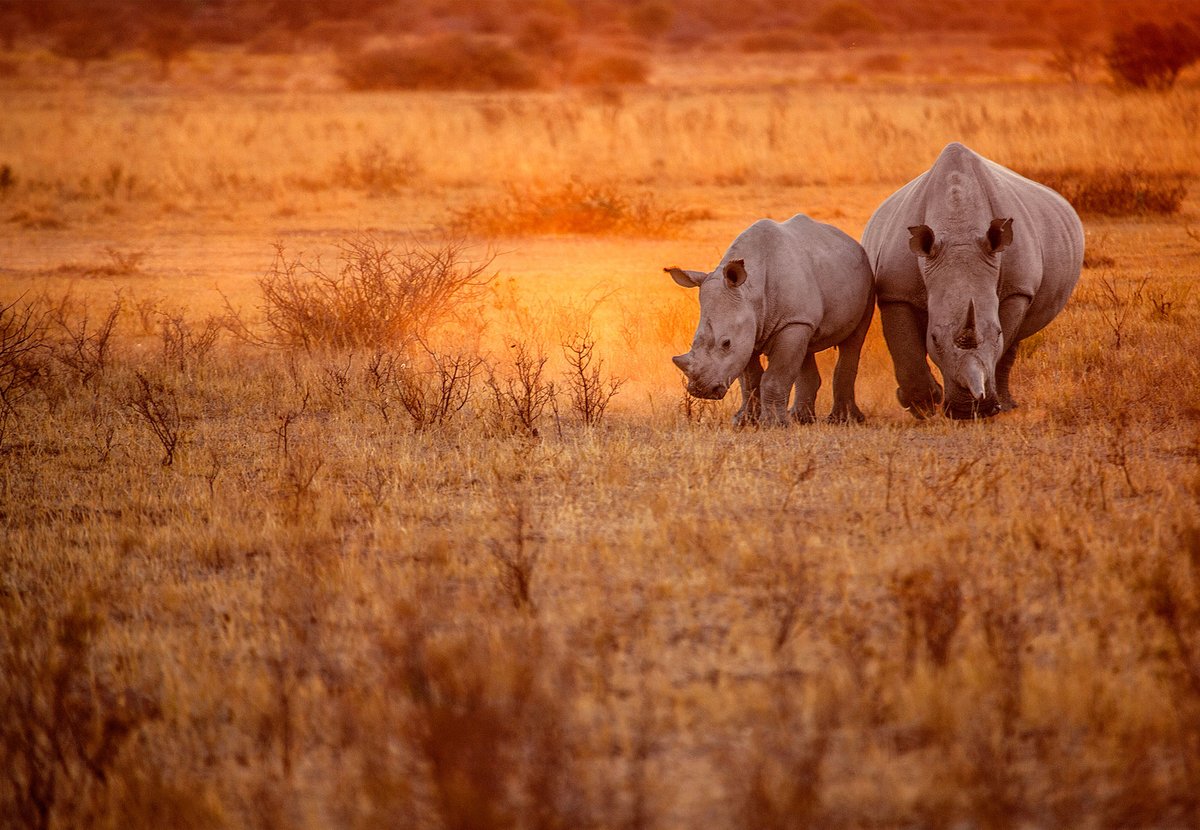Namibia Tourism Board tweet media