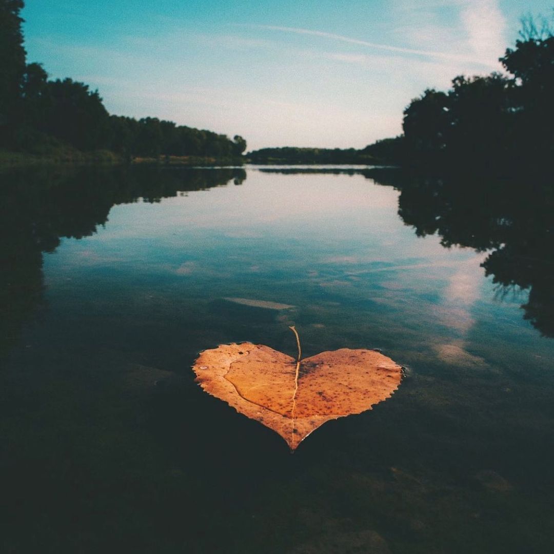brababella's tweet photo. #Photography by #EricWard
#heart #fotografia #cuore #leaf #foglia #contemporaryart #artecontemporanea https://t.co/2tpzXPUsCm