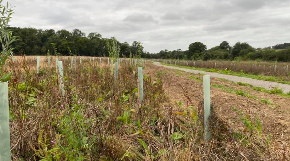 Thames21's tweet photo. Don't hibernate this autumn and winter, reconnect with nature by helping us to plant #trees in #Enfield. We have planted 50,000 trees already as part of @EnfieldCouncil’s Restoration of Enfield Chase project. We need your help to plant more. 
https://t.co/hwOzgFWy8w https://t.co/T0NaWMPPU2
