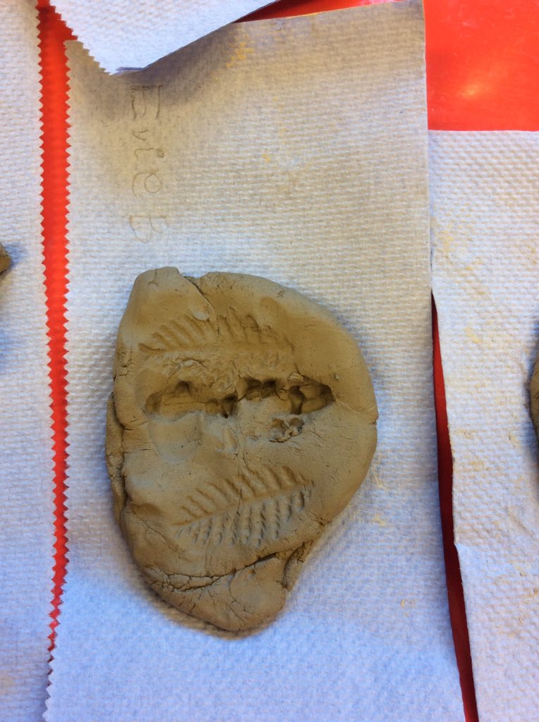 MrsS_WFoss's tweet photo. Printing fossils in clay is so much fun! @wilberfossps #art #science #history #maryanning. https://t.co/QFYqAcDYek