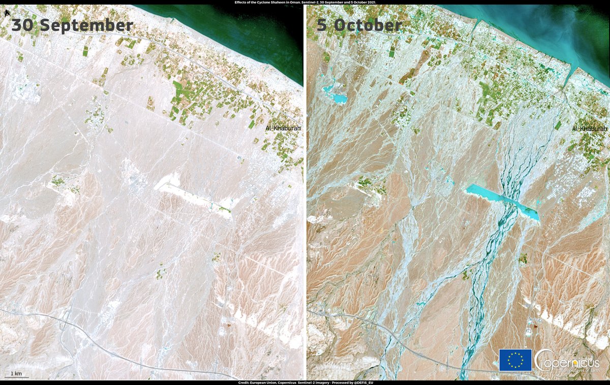 defis_eu's tweet photo. #ImageOfTheDay 

Cyclonic storm 🌀#Shaheen caused severe damages in Oman

13 people died and some areas received more rain in a single day than in an average year

⬇️The effects of Shaheen's passage near al-Khabura are visible in the #Sentinel2 🇪🇺🛰️images of ↙️30 Sept and ↘️5 Oct https://t.co/syNrxwMmsY