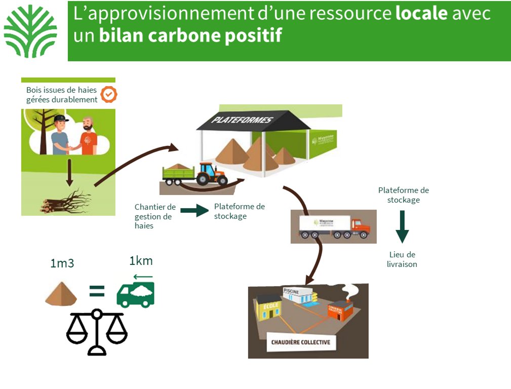 Genie_Eco's tweet photo. [Journées Haies] Laurent Nevoux coordinateur à la SCIC Bois Bocage Energie et Vice-President @afacagrofo développe ensuite le #LabelHaie et ses nombreux intérêts, notamment en terme de bilan Carbone
#ecoconception https://t.co/isOXEbdsRV
