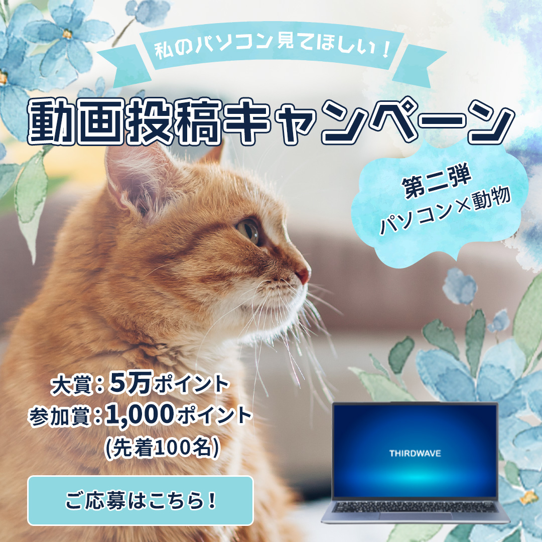 ドスパラ 公式 Pc 動物 動画投稿 キャンペーン 開催中 大賞 50 000円分のドスパラポイント 参加賞も1 000円分 パソコン作業を邪魔する猫ちゃん わんちゃん 鳥さん など みなさんのご応募お待ちしております T Co ドスパラ 公式 Pc 動物 動画投稿 キャンペーン 開催中 大賞 50 000円分のドスパラポイント 参加賞も1 000円分 パソコン作業を邪魔する猫ちゃん わんちゃん 鳥さん など みなさんのご応募お待ちしております T Co