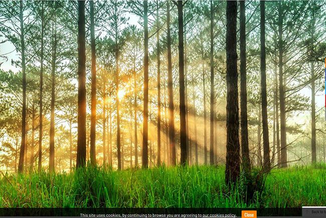 Kershaw Perham (@kershawperham) on Twitter photo 