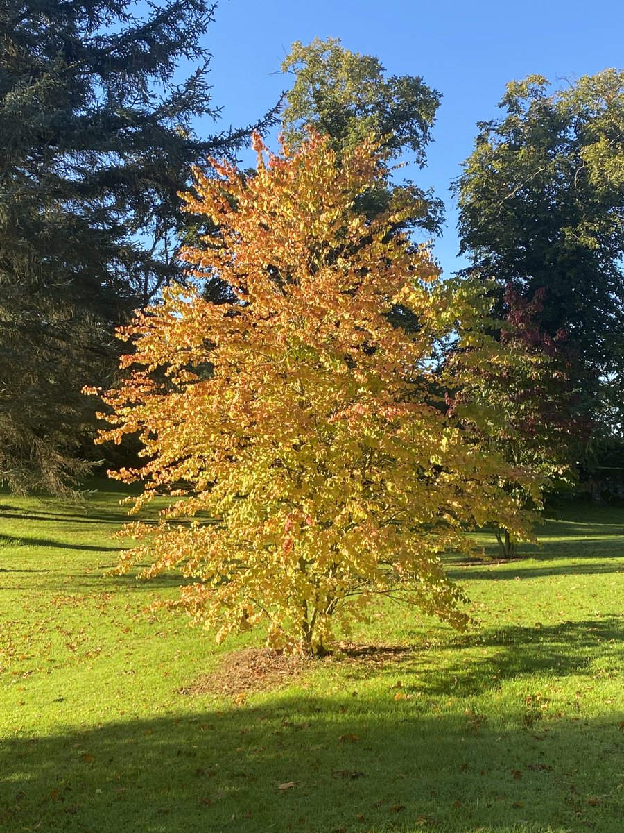 Mike Goddard tweet media