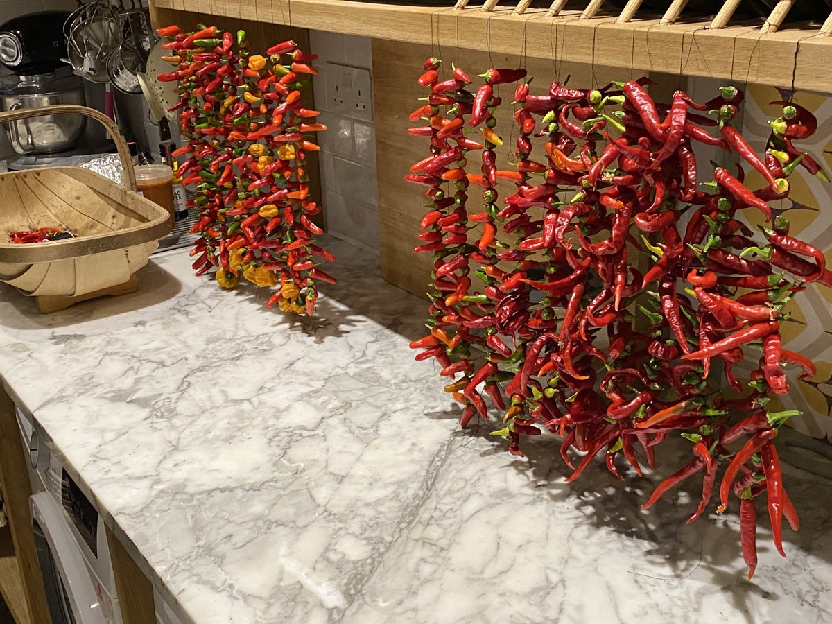 Mike Goddard tweet media