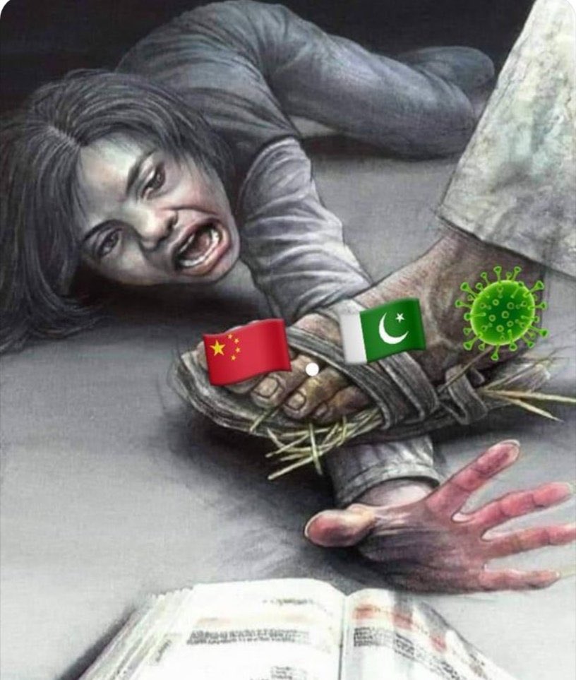 iamXayn's tweet photo. Pakistani overseas students for China are facing grave damage to their professional
degrees for past20months&are facing a lot of pressure and problems, @CathayPak @ImranKhanPTI
@SMQureshiPTI @ZakaWaqar #takeusbacktochina
#ProtestOfIntlStudentsInIsb
#TakeBackPakStudentsToChina https://t.co/7Cr8AK4v7t