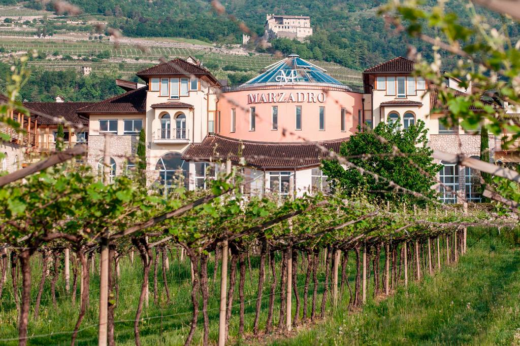 Cosa c'è di più @sostenibile del settore distillatorio? Ne parliamo il 28 e 29 ottobre a Distilleria #Marzadro. 
"Il settore distillatorio italiano tra modello di #sostenibilità e nuove #sfide". <a href="/labrenta/">labrenta</a> #Saida #Labrenta

👉 bit.ly/2YtqlyO