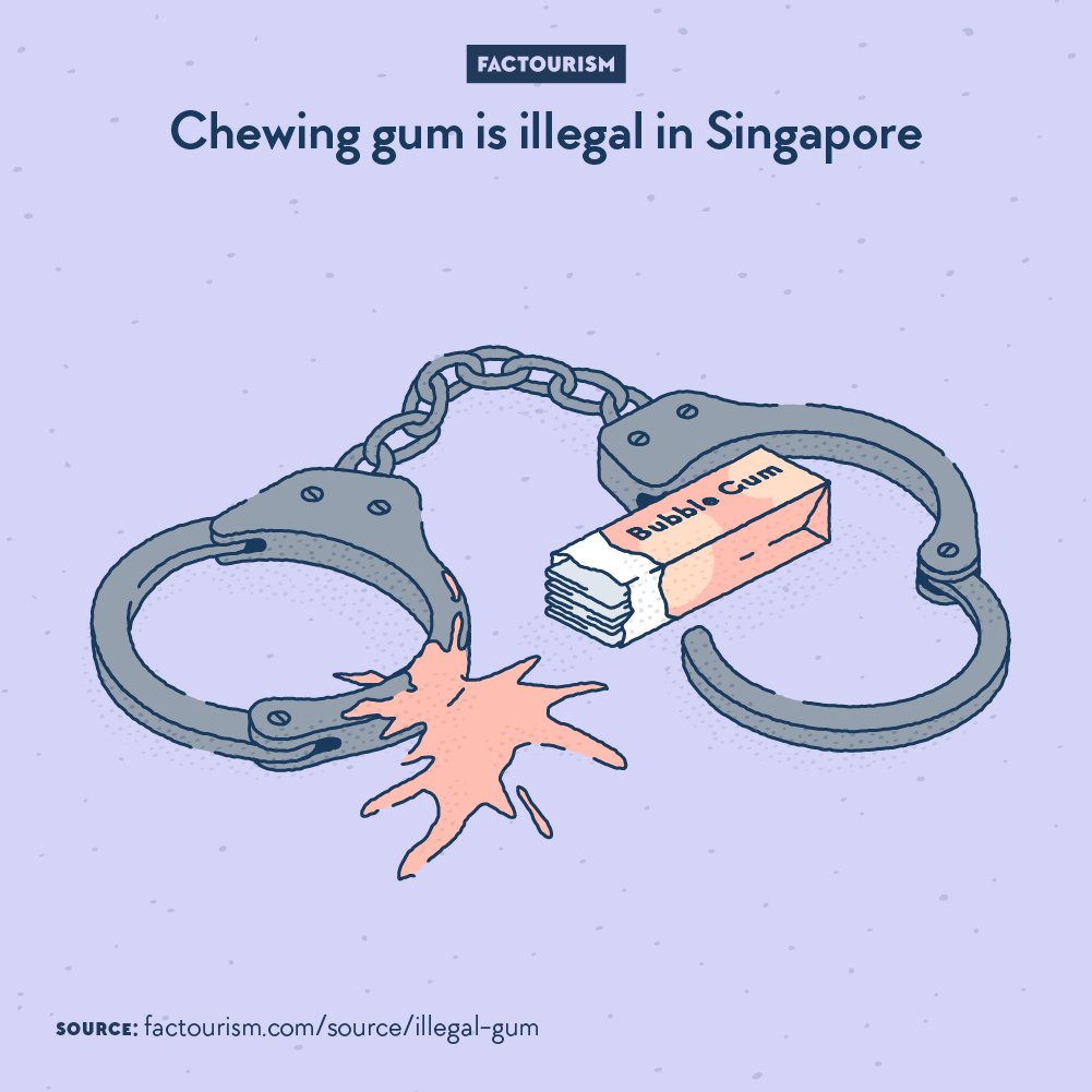 Factourism tweet media