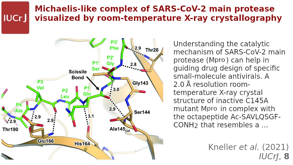 IUCrJ's tweet photo. Michaelis-like complex of SARS-CoV-2 main protease @IUCrJ https://t.co/ErnXSrasXm @ORNL @ORNLNeutrons #NVBL @ENERGY @NIDDKgov @NIH #CSMB #COVID19 #SARSCoV2 #3CLprotease #mainprotease #catalytic #C145Amutant #enzymesubstrate @DanielKneller #crystallography @IUCr #openaccess https://t.co/gvrfLJ6QlL