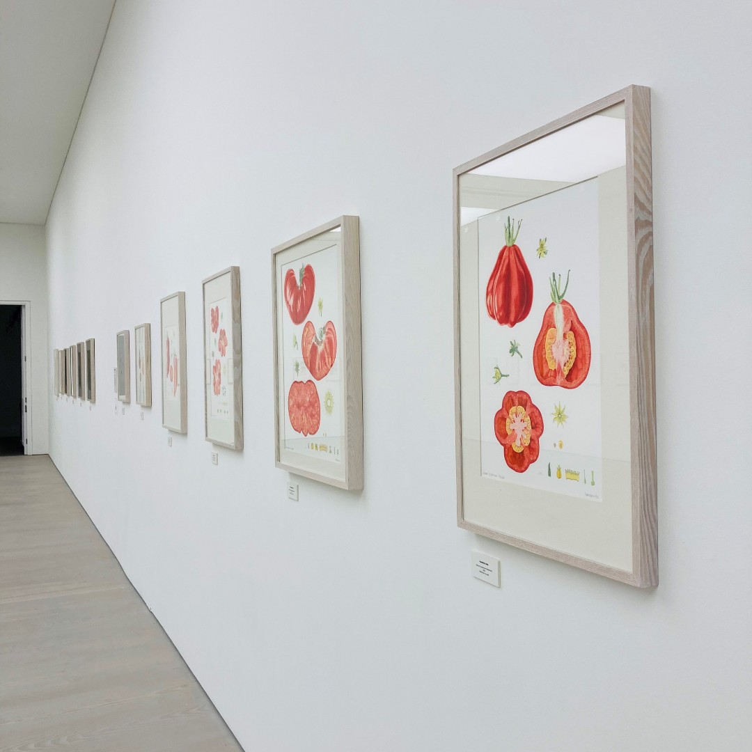 The_RHS's tweet photo. Don’t miss the final few days of the RHS Botanical Art and Photography Show 🌺📸

World-class photography and art is brought together in one fabulous show at the @Saatchi_Gallery. 

Running until 9 October: 
https://t.co/qhZUWwJ1pE  #RHSSaatchiGallery https://t.co/XuOcY28omP