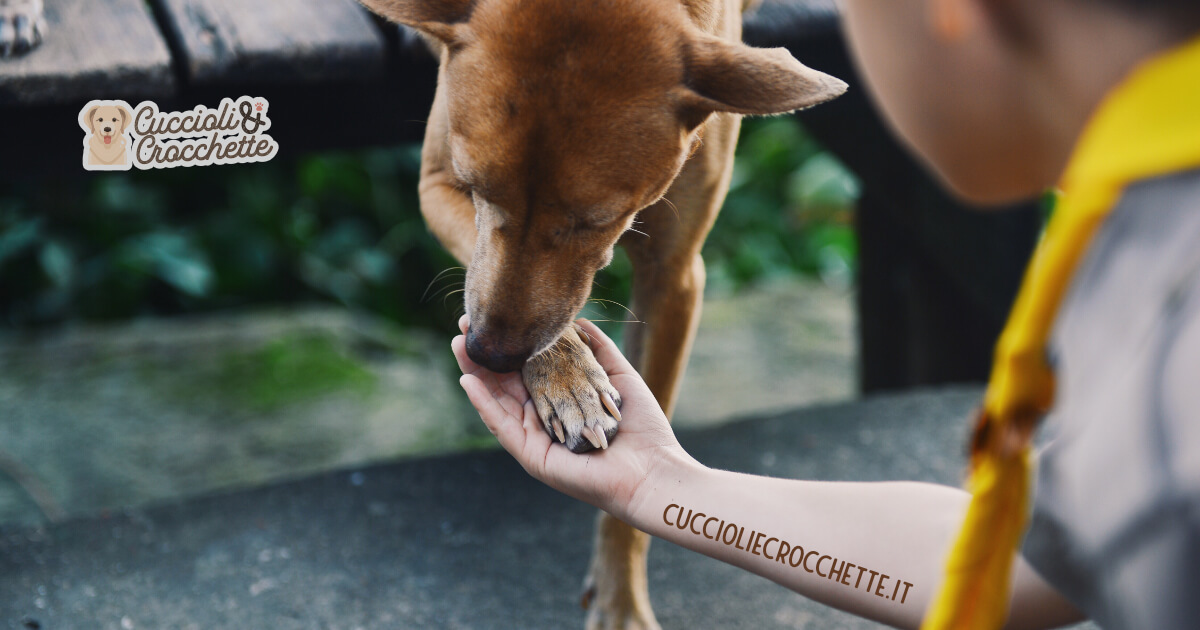 CuccioliCrocche's tweet photo. Il tuo cane si lecca le zampe? Sebbene il cane sia solito leccarsi, il farlo frequentemente e compulsivamente può essere sintomo di problematiche. Vediamo quali.
https://t.co/w6uUr7QjPy #cane #cani #amoilmiocane https://t.co/iYQzN9VT5l