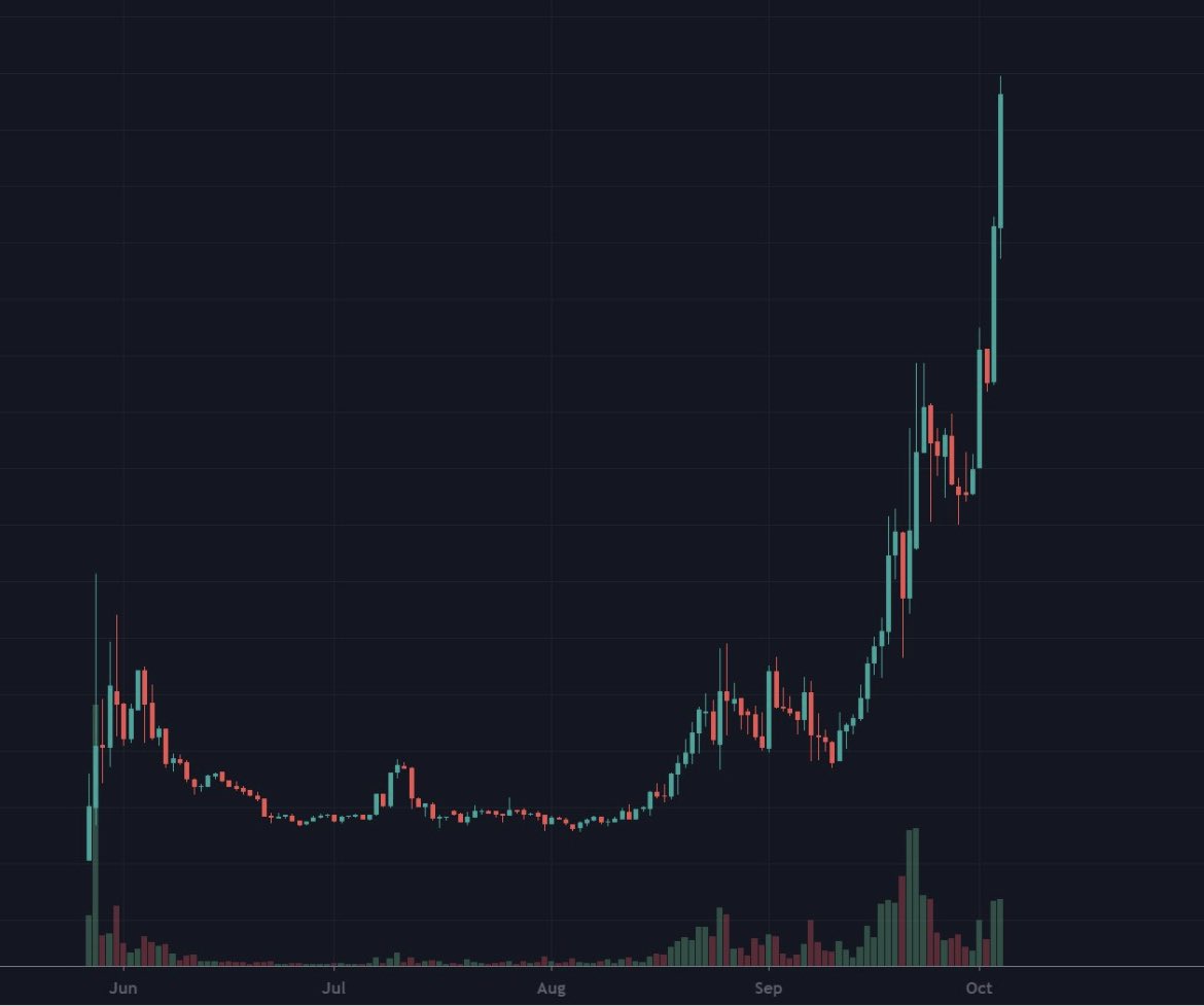 bigcryptolad's tweet photo. POV; $xrp case settles https://t.co/LBZRQk5LEq