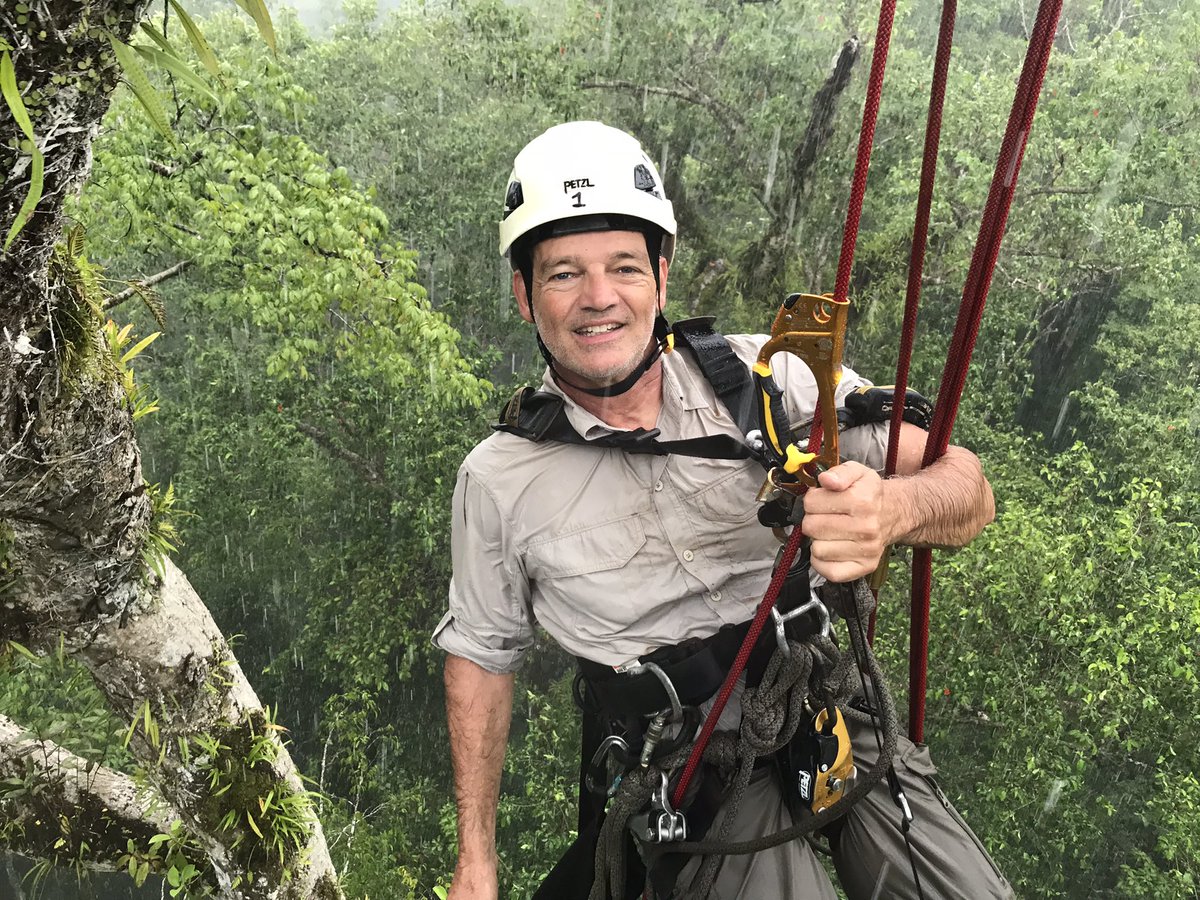 I was lucky to climb up to the top of an Endangered giant Styphnolobium sporadicum tree in the Osa Peninsula. Heavy rain but always a fantastic feeling to be in the canopy! Great thanks <a href="/osaconservation/">Osa Conservation</a> for their great work preserving this paradise and its threatened trees!