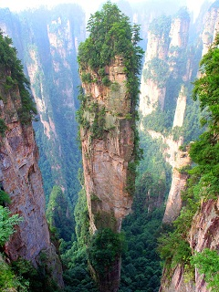 Greenly Greg (@greggreenly) on Twitter photo 