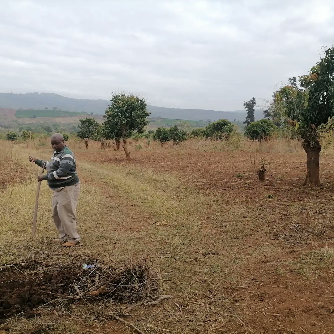 ModibeMotloutsi's tweet photo. Man at work
The manager him self https://t.co/z0YoUj6uCn