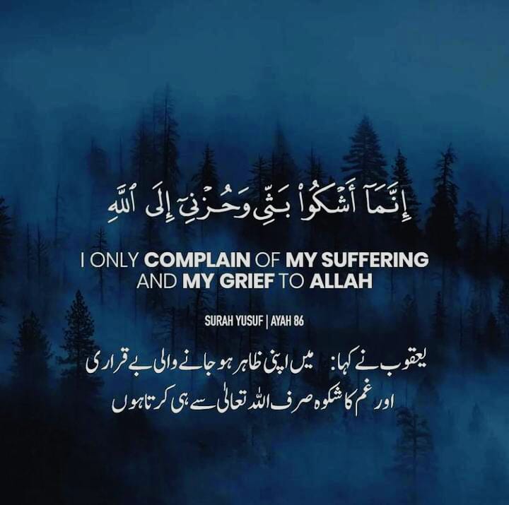 ServantIndian's tweet photo. @muftimenk https://t.co/IADeMEXBu5