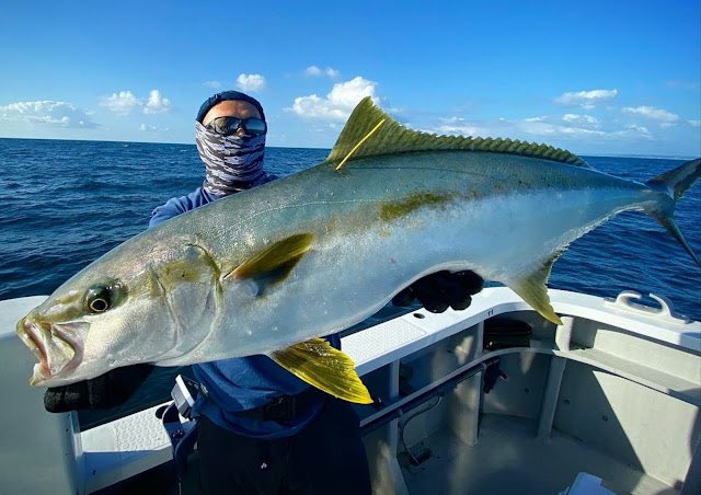 natureboysjapan's tweet photo. 外房のエキスパートアングラーの庭山様よりご報告をいただきました。
JIG: 鉄ジグ Swim Rider Short 125g
HOOK:Nature Boys IRONHOOK タイプAK26SS
IRONHOOK SS#4/0
#鉄ジグ
#ヒラマサ
#スイムライダーショート
#宏昌丸
#勝浦
#NatureBoys
#IRONHOOK
https://t.co/F6Gn9m5h3Z https://t.co/qD9MILmVts