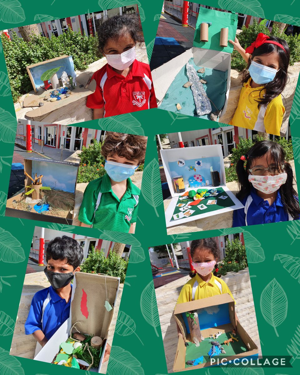 DESSyear2's tweet photo. #DioramaFun in #DESSYear2Red today. We have been learning all about Rainforests #Temperate vs #Tropical and it has resulted in the most incredible mini habitats! Awesome work everyone! #DESSScience https://t.co/Znm5dQY0kQ