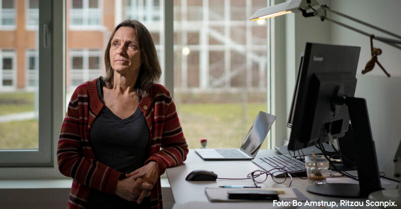 AarhusUni's tweet photo. ”Som dekan skal jeg bruge al min viden og erfaring som forsker og leder til at virkeliggøre Healths visioner."

Velkommen til professor Anne-Mette Hvas, som fra 1. december er ny dekan ved Health, Aarhus Universitet.

https://t.co/iu8Sjmze2W

#dksund #dkforsk #HealthAU #AarhusUni https://t.co/kpzdv6TGs1