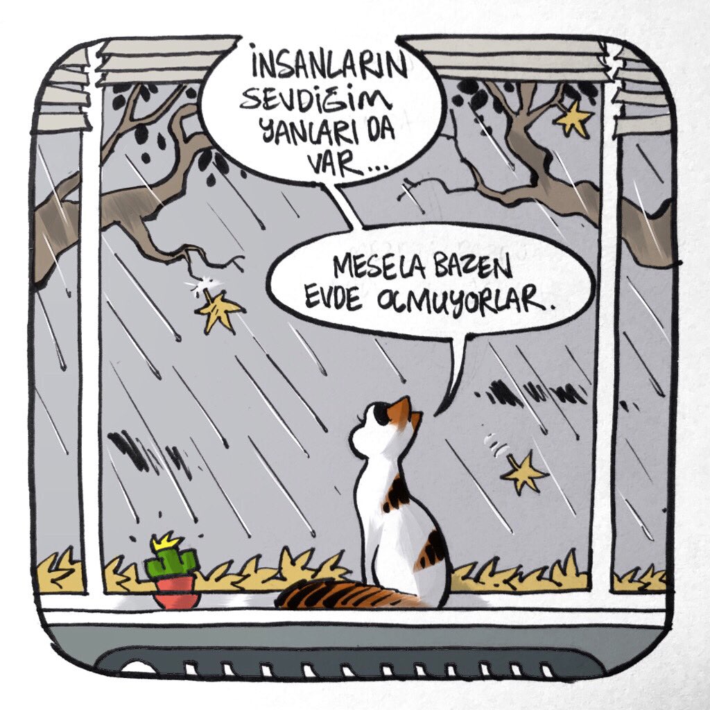 ... yine sonbahar 🐾🍂