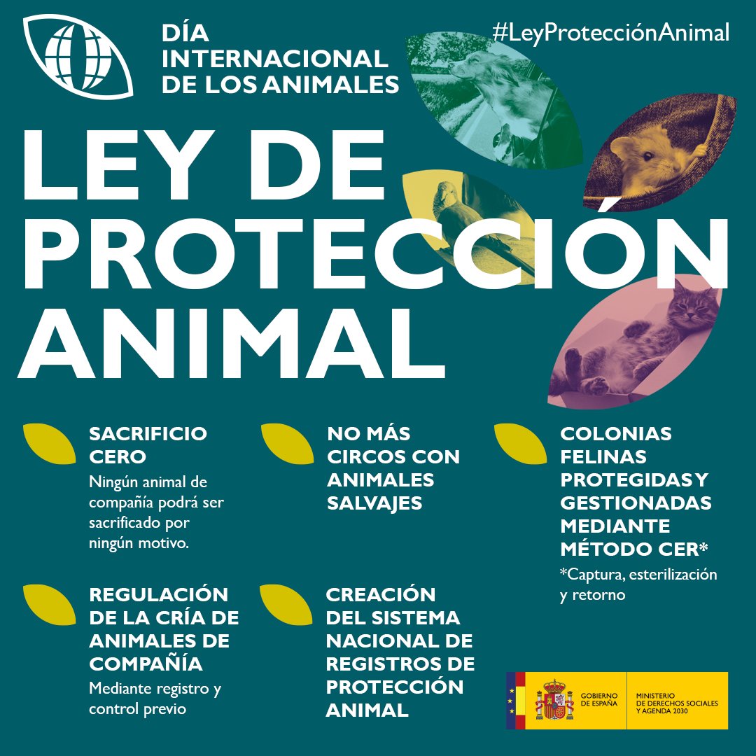 MSocialGob's tweet photo. 🐶🐱¿En qué consiste la #LeyProtecciónAnimal?

Aquí destacamos algunas de sus medidas 👇 https://t.co/EJdsynwFub