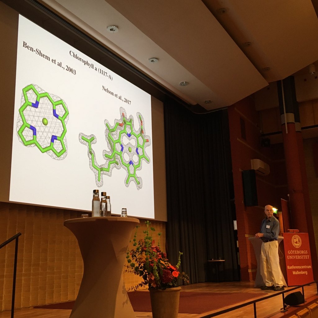 Ben Engel tweet media