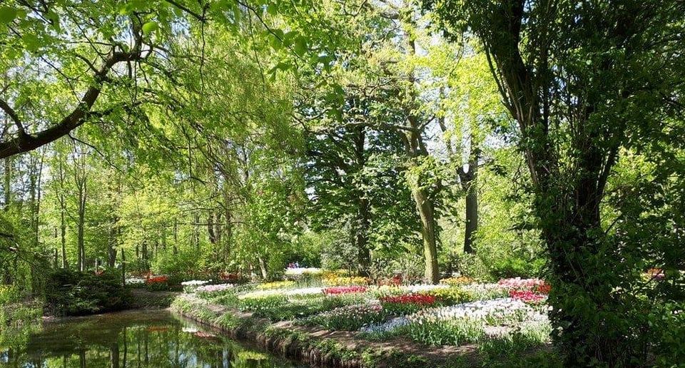 WakeyMasterplan's tweet photo. Every new development in the city centre should contribute to the network of green spaces, with plans connecting existing and future green spaces throughout the city centre! https://t.co/74H0dF16wj

#Wakefield #WakefieldMasterplan #WakfieldCityCentre https://t.co/0r9CoQLnRt