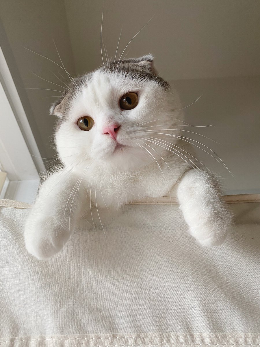 ลูกชิ้นหมูสาหร่ายยย